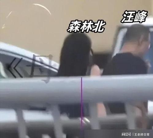 汪峰新恋情吃瓜,揭秘摇滚巨星背后的情感纠葛