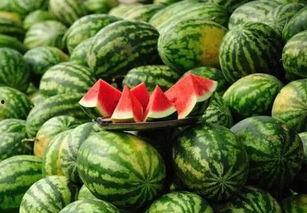 水东街酒店吃瓜,揭秘网红美食背后的吃瓜故事