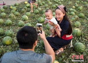 昌吉吃瓜群众,揭秘当地生活百态