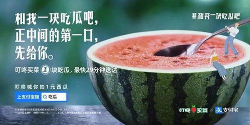 339酒吧事件吃瓜,揭秘背后真相，吃瓜群众热议不已