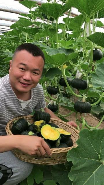 安安贝贝吃瓜,揭秘娱乐圈幕后故事