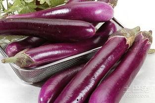 茄瓜水果怎么吃,茄瓜水果的多彩食法探索