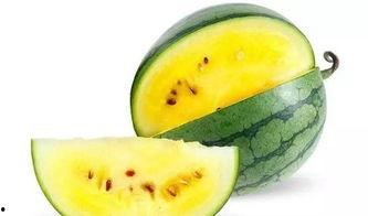 瓜都从哪吃,探寻瓜的食用奥秘