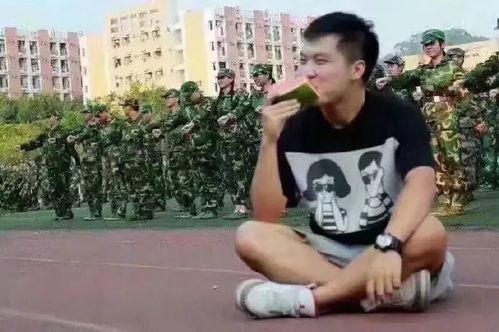 gmm吃瓜群众,揭秘吃瓜群众的狂欢盛宴