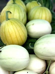 洪山镇吃瓜的做法,夏日消暑新风尚