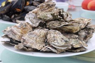 齐鲁大地吃瓜,探寻山东特色美食之旅